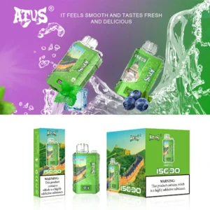 ATVs 15000 Puffs 12