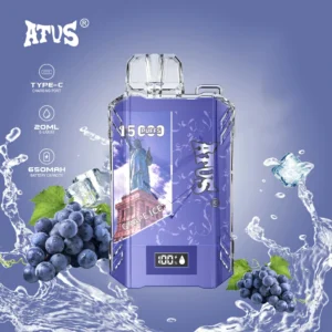 ATVS 15000 Puffs 19