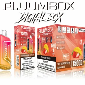 Fluum Box Digital 15000 Puffs 10 échelles