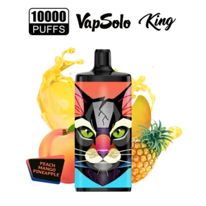 VapSolo King 10000 Puffs 5