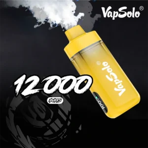 12000 Puff Vapes