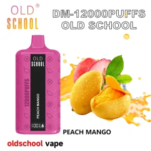 Penna Vape usa e getta Old School DM12000 all'ingrosso 12K sbuffi 18 ml Nicotina multipla 0% 2% 3% 5% Punti di forza Bobina a rete Type-C Ricarica diretta in fabbrica. (8)