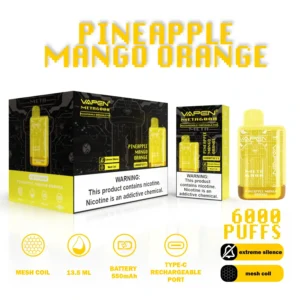 Vente en gros de stylo vape jetable VAPEN META6000 6000 bouffées 13,5 ml, plusieurs options de nicotine avec batterie rechargeable de 550 mAh de l'entrep?t de l'UE (11)