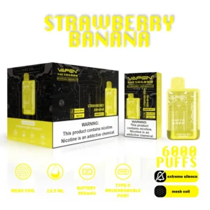 Gro?handel Vapen Meta6000 Einweg -Vape Vape Pen 6000 Puffs 13,5 ml mehrere Nikotinoptionen mit 550 mAh wiederaufladbarer Akku von EU Warehouse 12