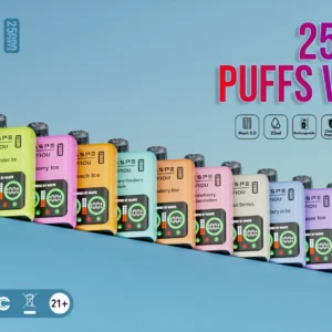 25000 Puff Vapes High-demand Waspe Disposable Vapes for Winter Sales