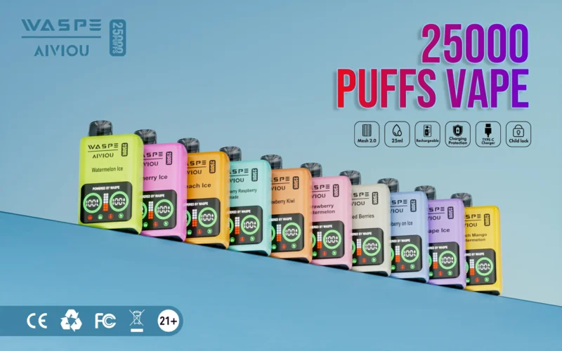 25000 Puff Vapes High-demand Waspe Disposable Vapes for Winter Sales