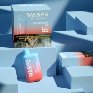 Nagykereskedelmi Waspe 5000 Puffs eldobható vape toll t?bbsz?r?s nikotinnal 0 2 3 5 szint 13ml kapacitású háló tekercs C típusú gyors szállítás 1