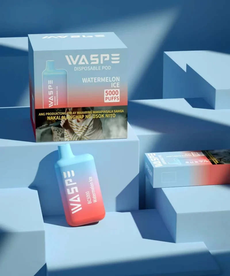 Velkoobchodní Waspe 5000 Puffs Poledble Vape Pen s více nikotinem 0 2 3 5 ?rovně 13 ml kapacity Cívka typu C Rychlá doprava 1