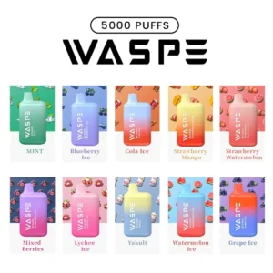 Fast-Selling WASPE 5000 Puffs Disposable Vape Pen with Mesh Coil Type-C Charging 13ml Capacity and Nicotine Levels 0% 2% 3% 5% 1