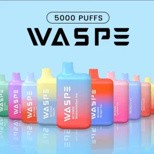 Snelverkopende WASPE 5000 Rookwolken Wegwerp-vape-pen met mesh-spoel Type-C Opladen 13 ml capaciteit en nicotineniveaus 0% 2% 3% 5% 3