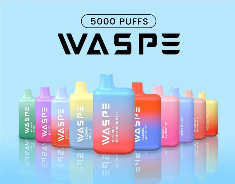 Snelverkopende WASPE 5000 Rookwolken Wegwerp-vape-pen met mesh-spoel Type-C Opladen 13 ml capaciteit en nicotineniveaus 0% 2% 3% 5% 3