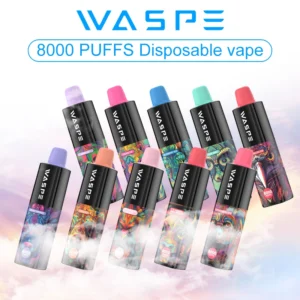 Popularny WASPE 8000 Puffs Dostosobalny d?ugopis Vape z akumulatorem typu C pojemno?? 16 ml i warianty nikotyny 0% 2% 3% 5% 2