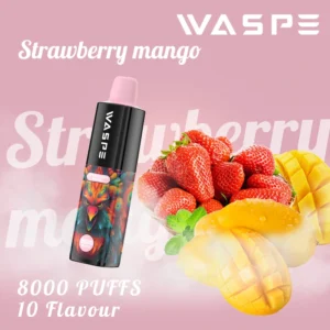 Hurtownia WASPE 8000 Puffs Do jednorazowe pióro Vape z wieloma nikotyn? 0 2 3 5 Poziomy 16 ml pojemno?? typu C Na?adowalny akumulator 11