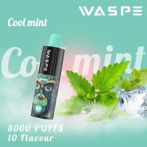 Hurtownia WASPE 8000 Puffs Djeńskie pióro Vape z wieloma nikotyn? 0 2 3 5 Poziomy 16 ml pojemno?? typu C Bateria 4