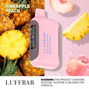 LuffBar Dually 20000 Puffs Wholesale Disposable Vape Rechargeable Buy Bulk 5 Nicotine 850 mAh 18 Flavors 2024 New 12