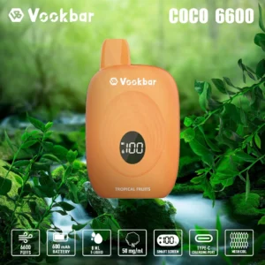 Fábrica original Vookbar COCO 6600 Puffs Vapes desechables al por mayor 3% Bajo en nicotina recargable Digital Smart Sc (3)