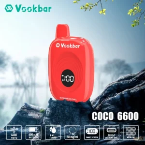 Fábrica original Vookbar COCO 6600 Puffs Vapes descartáveis ??por atacado 3% baixa nicotina recarregável com tela inteligente digital 1