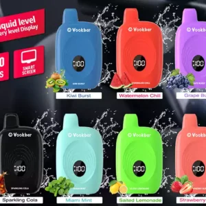 Original Factory Vookbar COCO 6600 Puffs Gro?handel Einweg-Vapes 3% Nikotinarm, wiederaufladbar mit digitalem Smart Screen 2