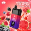 CLOUD NINE D19P 9000 Puffs 3% Batería recargable de nicotina Vapes desechables Venta al por mayor directa de fábrica Elija entre varios sabores