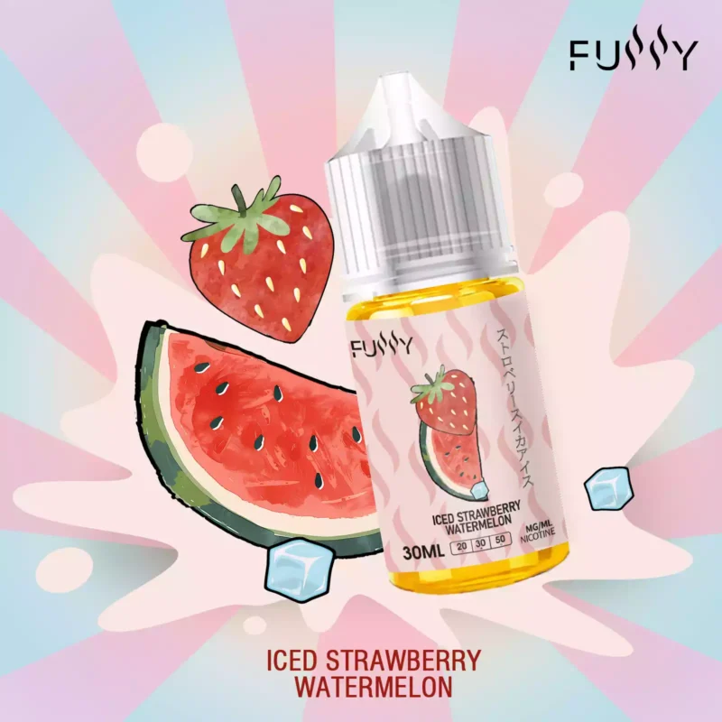 Fussy 30ML E Liquid Wholesale Bulk Buy Save 40 Nicotine 30MG Fresh 23 Flavors Original Factory 2