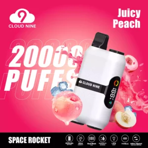 Original Factory Cloud Nine D33 20000 Puffs cu ridicata ?n vrac cump?ra?i vape de unic? folosin?? 5 nicotin? proasp?t 10 arome 2024 nou 4