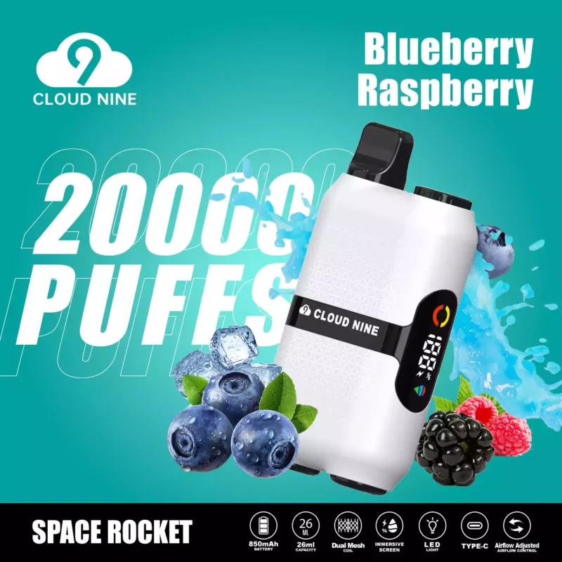 CLOUD NINE D33 20000 Puffs 5% Nicotine Rechargeable Battery High Quality Disposable Vapes Factory Wholesale Wide Variety of Flavors