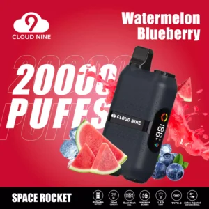 Original Factory CLOUD NINE D33 20000 Puffs Wholesale Bulk Buy Disposable Vape 5 Nicotine Fresh 10 Flavors 2024 New 9