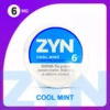 Quality Wholesale ZYN Nicotine Pouches Bulk Buy 6MG 10 Flavors Original Factory Shipment 2025 New 2