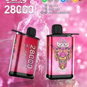 Bang 28000 Puffs Venta al por mayor Directo desde la fuente Experimente sabores frescos 10