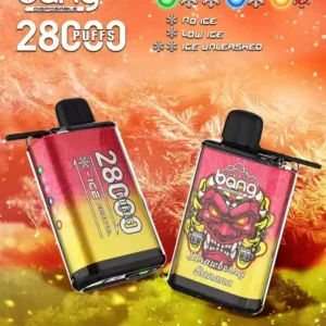 Bang 28000 Puffs Hurtowa bezpo?rednia od ?ród?a do?wiadczenia ?wie?e smaki 11