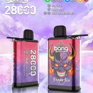 Bang 28000 Puffs no atacado direto da fonte Experimente sabores frescos (2)