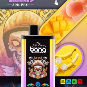 Bang 30000 Puffs no atacado direto da fonte Experimente sabores frescos (12)