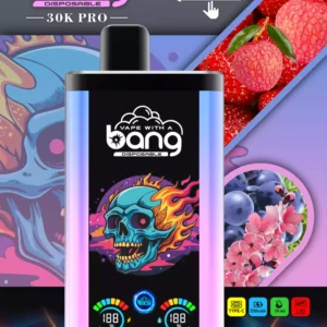 Bang 30000 Puffs Gro?handel direkt von der Quelle Erleben Sie frische Aromen 14