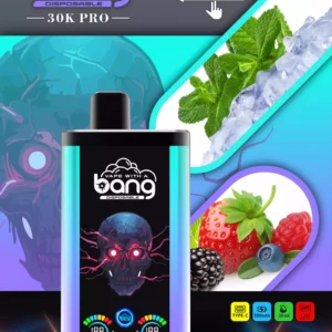 Bang 30000 Puffs Gro?handel direkt von der Quelle Erleben Sie frische Aromen 4