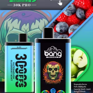 Bang 30000 Puffs Gro?handel direkt aus der Quellerfahrung frische Aromen 5