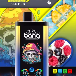 Bang 30000 Puffs Gro?handel direkt von der Quelle Erleben Sie frische Aromen 6