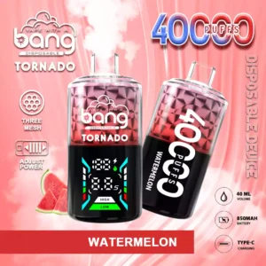 Bang 40000 Puffs velkoobchodní p?ím? ze zdrojov?ch zá?itk? Fresh Flavors 14