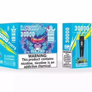 Bang King 30000 Puffs Pro Gro?handel Direkt von der Quelle Erleben Sie frische Geschmacksrichtungen (4)